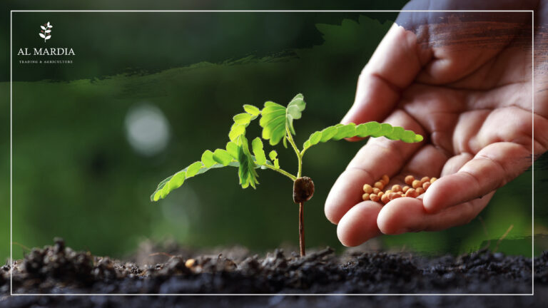 All You Need to Know About Organic Fertilizers