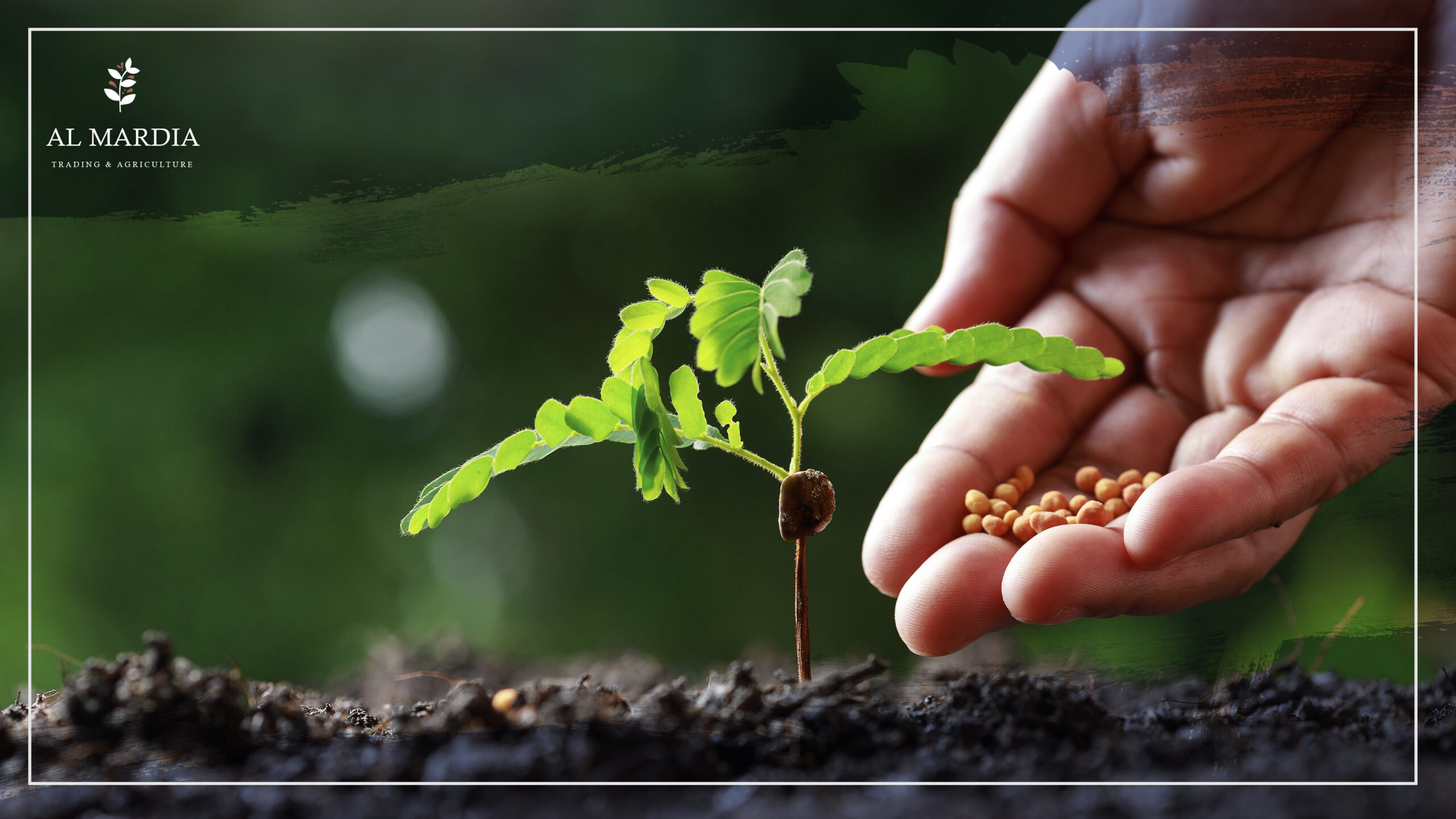 All To Know About Organic Fertilizers