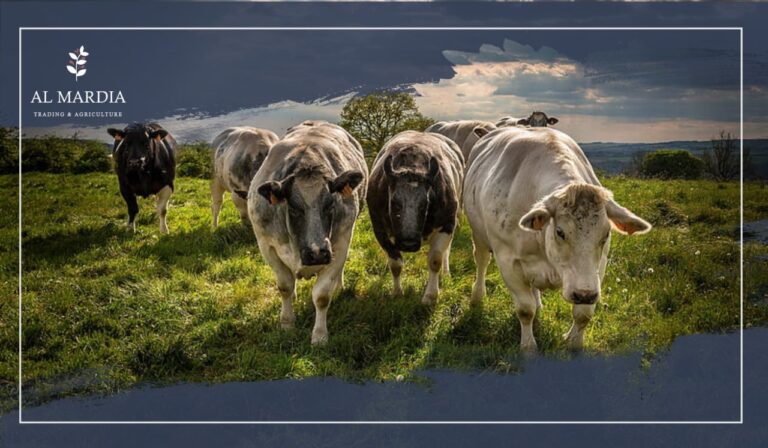 الثروة الحيوانية ومقوماتها في الوطن العربي