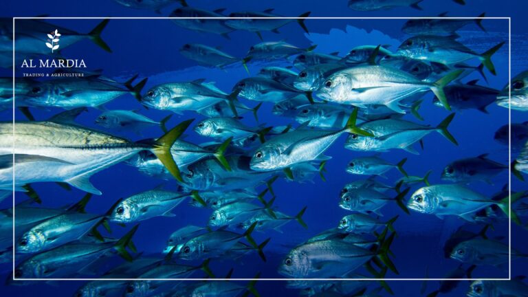 الكنوز المهدورة في الثروة السمكية