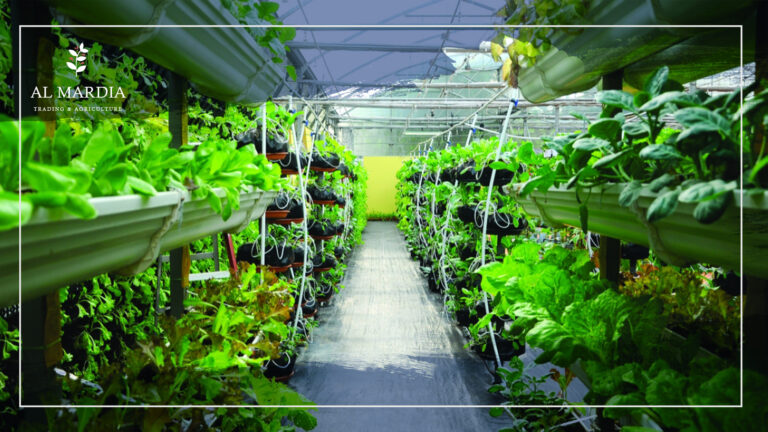 كيف نطوّر القطّاع الزّراعيّ؟