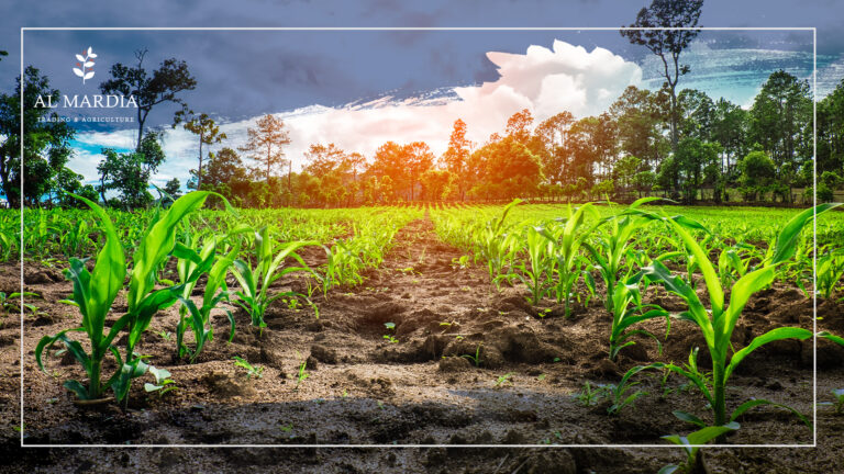 ماذا تعرف عن الزراعة واهميتها..؟