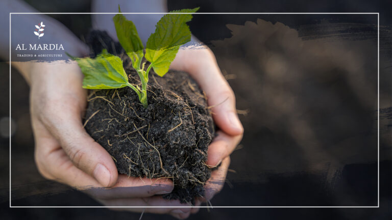 المبيدات العضوية .. خطوة بإتجاه الحل