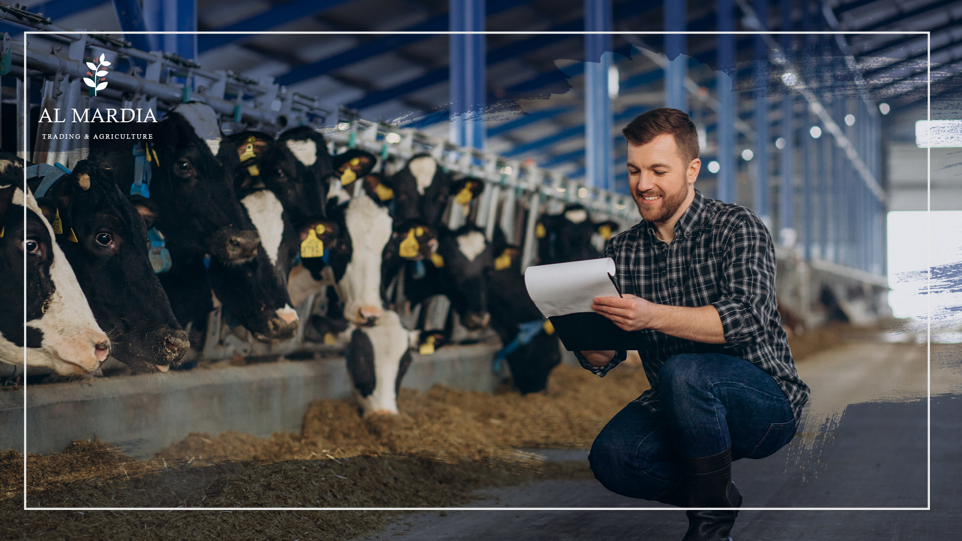 All you should know about Dairy Farming