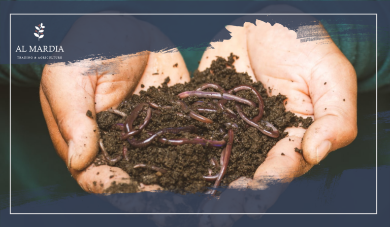 Earthworms Tiny Creatures, Huge Benefits