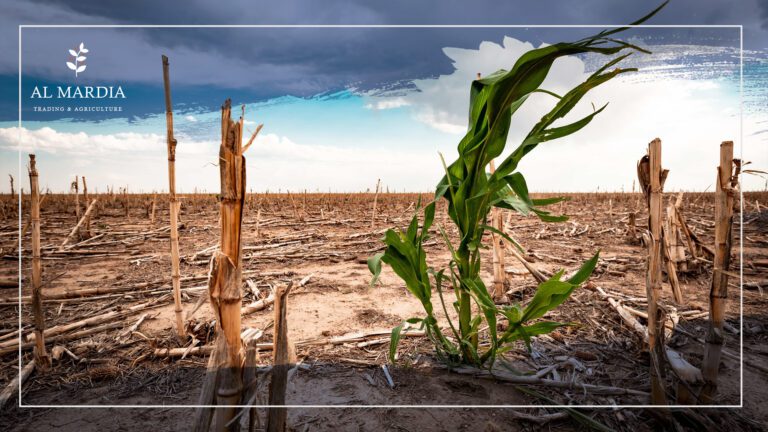 الاحتباس الحراري وأثره على القطاع الزراعي