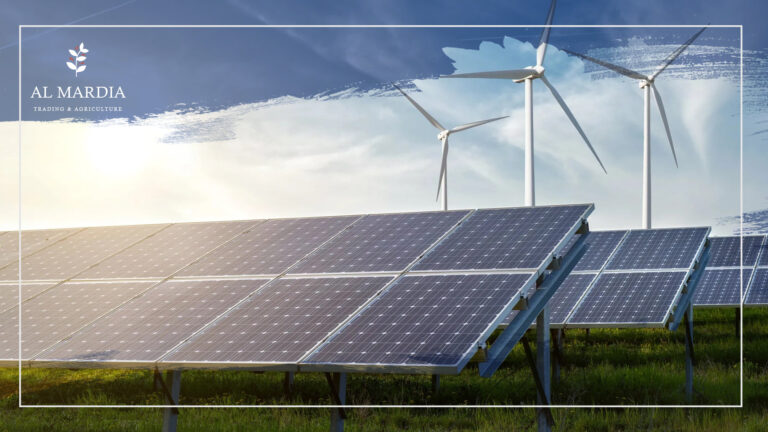 Just Transition Can Be The Solution