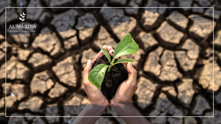 Let’s Make Change Against Climate Change