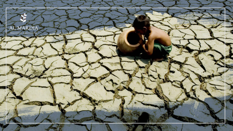 climate change and food shortage