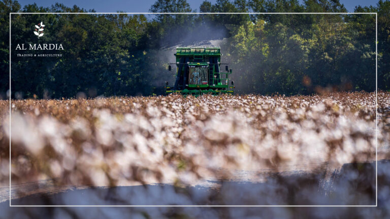 الانتقال العادل للزراعة المستدامة