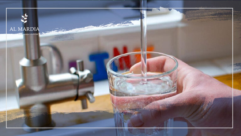 Do I Need a Water Filter In My House