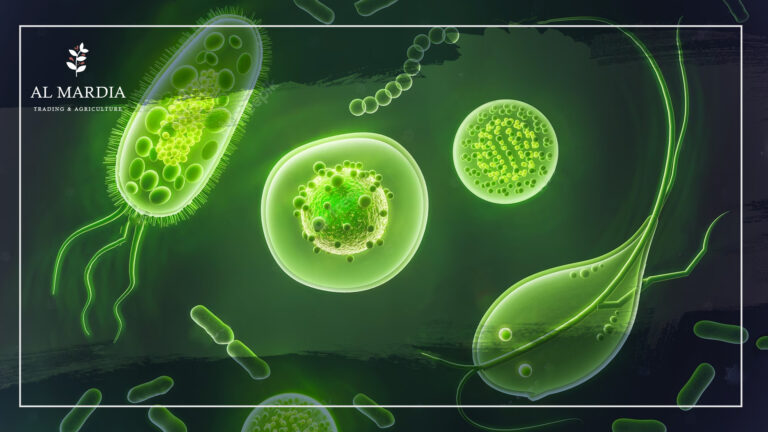 Effective microorganisms, the future of agriculture