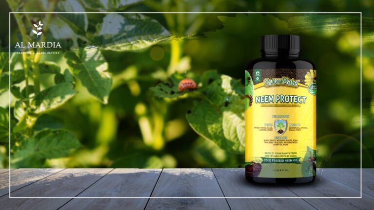 Neem Oil Magic In a Bottle