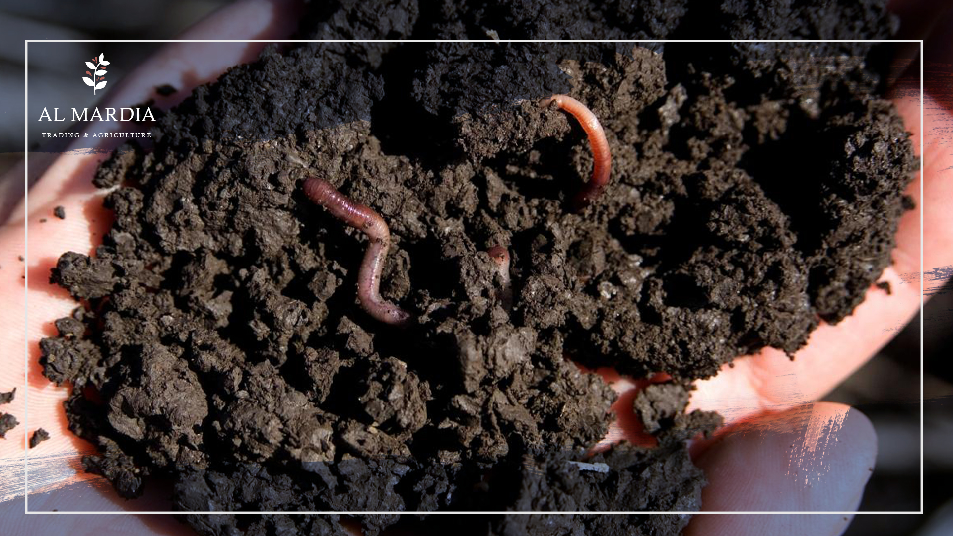 North Carolina Worms