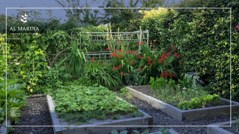 البستنة الحديثة.. هل تتطلب الحفر؟