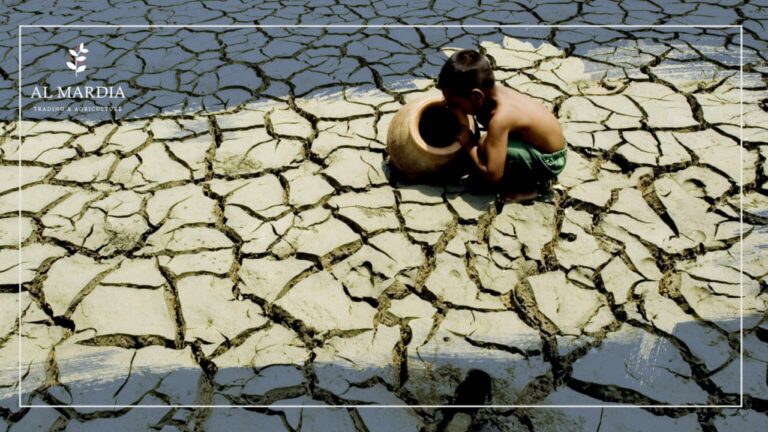 تغير المناخ