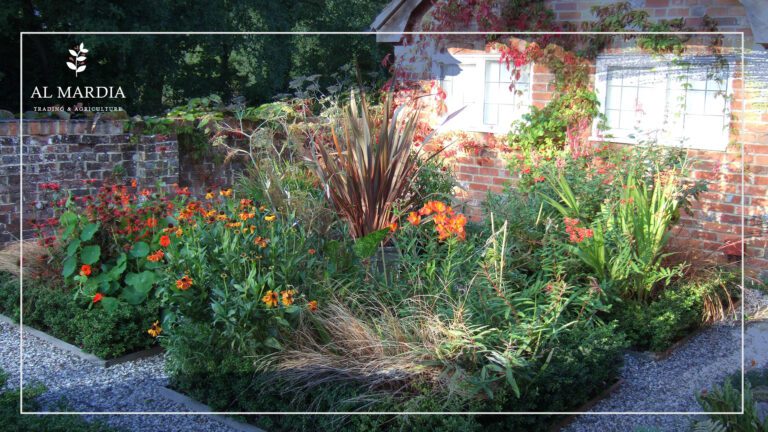 Garden Pests and Organic Solutions