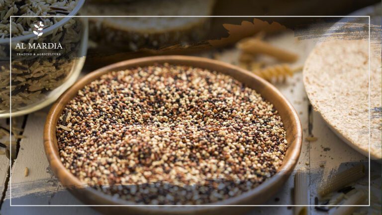 تعرف على الكينوا