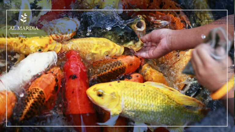 Immunity of Pond Fish