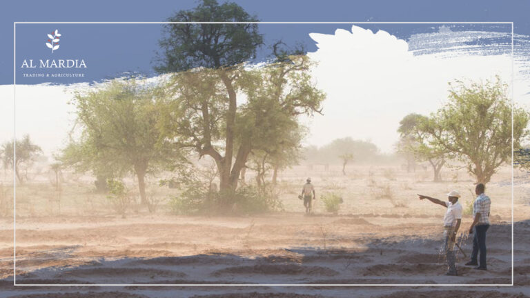 Planting in the Desert