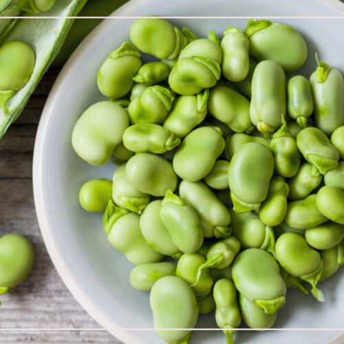 الفول السوداني والفول الأخضر