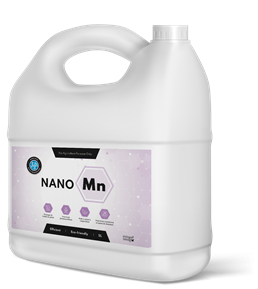 Nano Manganese