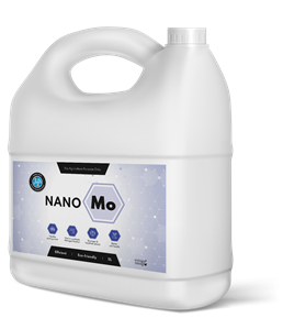 Nano Molybdenum
