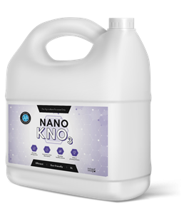 Nano Potassium Nitrate