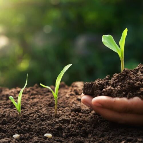 تحسين خواص التربة