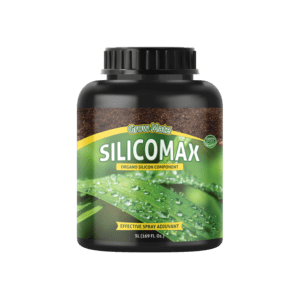 Silicomax