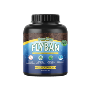 Flyban